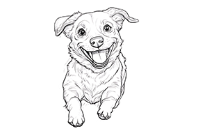 KÖPEK ÜRÜNLERİ
