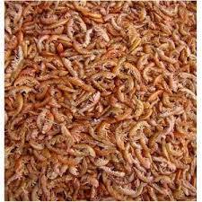 Curve Gammarus (Karides)750gr - 1
