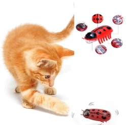 Chat-305 Pilli Uğur Böceği Kedi Oyuncak