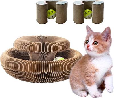 Chat Akordeon Kombinasyon Kedi Oyuncak - 1