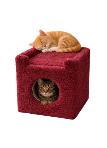 Shippo Oturaklı Kedi Kulübesi