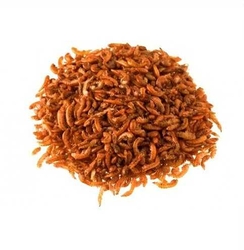 Gammarus Balık Yemi 250gr
